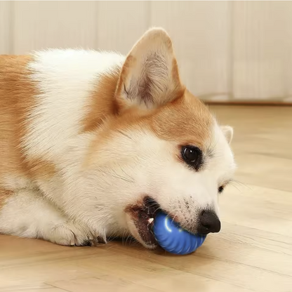 Automatic Moving Smart Toy Ball for Cats & Dogs Motorized USB Rechargeable Interactive Jumping & Moving Toy Ball