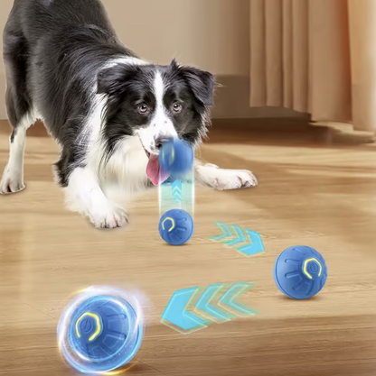 Automatic Moving Smart Toy Ball for Cats & Dogs Motorized USB Rechargeable Interactive Jumping & Moving Toy Ball