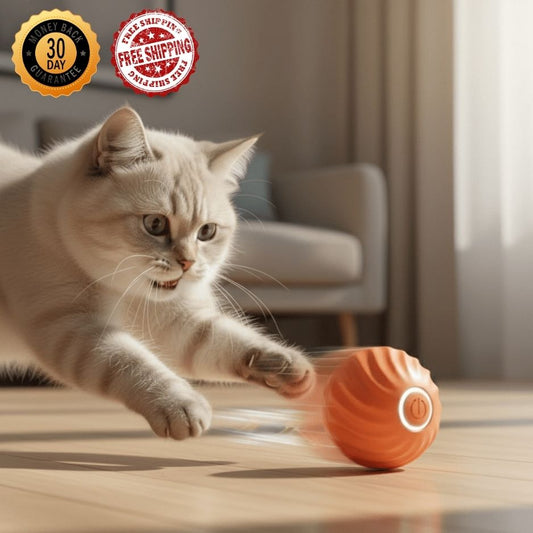 Automatic Moving Smart Toy Ball for Cats & Dogs Motorized USB Rechargeable Interactive Jumping & Moving Toy Ball